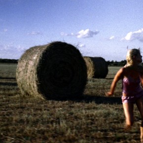 All the Boys Love Mandy&nbsp;Lane