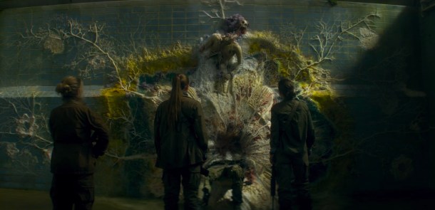 annihilation-evolution